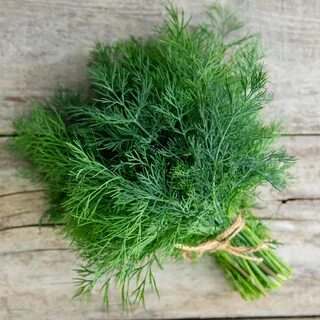 خرید و قیمت سبزی شوید خشک صادراتی + فروش عمده